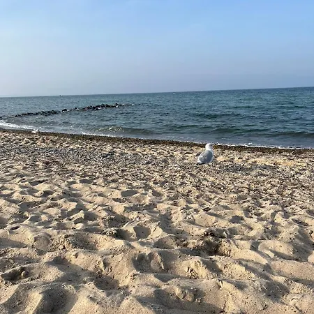 Maja 아파트